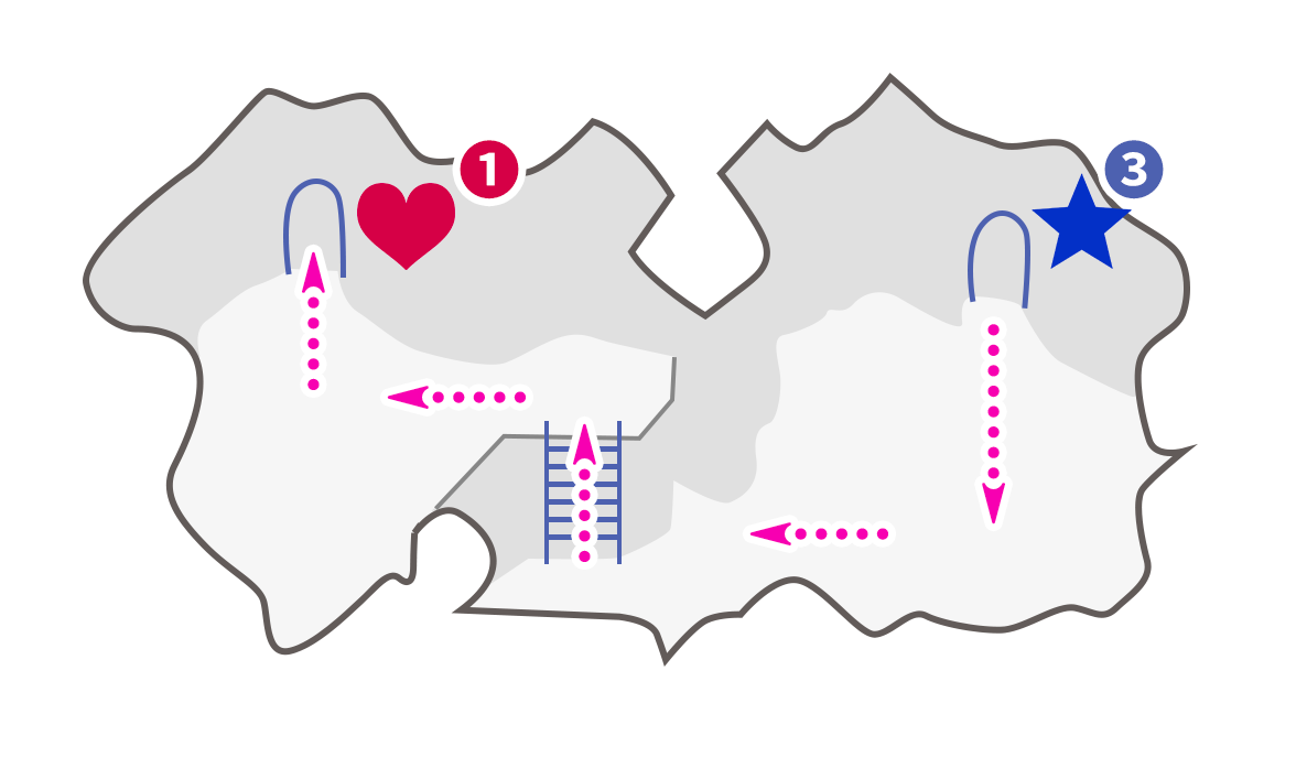 魔の森④ マップ